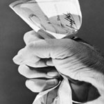 Maldito cheque