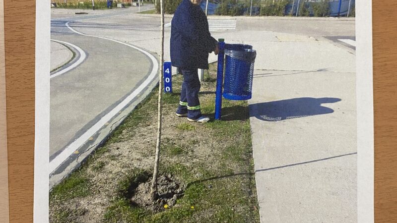 Un reclamo desesperado.