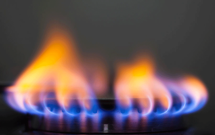Y… dale gas!!!
